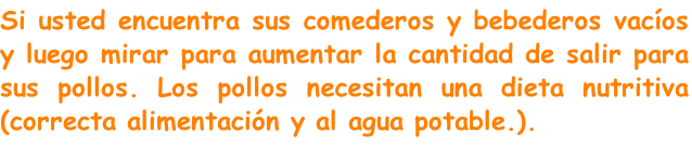 Si usted encuentra sus comederos y bebederos vacíos y luego mirar para aumentar la cantidad de salir para sus pollos. Los pollos necesitan una dieta nutritiva (correcta alimentación y al agua potable.).
